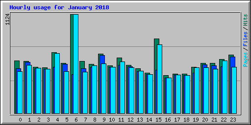 Hourly usage for January 2018